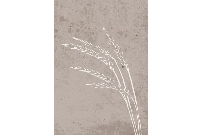 Poster Seeds 70x100 cm - Beige - Innredning - Bilder & kunst - Posters