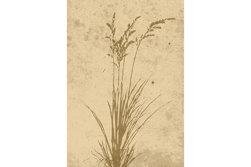 Poster Plant art 21x30 cm - Beige - Innredning - Bilder & kunst - Posters