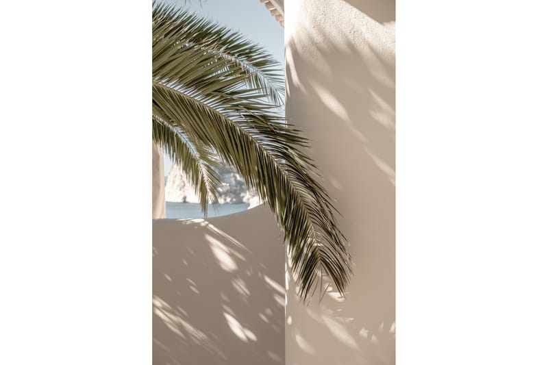 Poster Palmleaf 30x40 cm - Beige - Innredning - Bilder & kunst - Posters