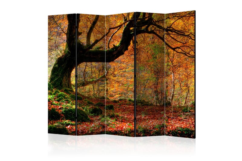 Romdeler - Autumn forest and leaves II 225x172 - Artgeist sp. z o. o. - Innredning - Romdelere - Bretteskjerm