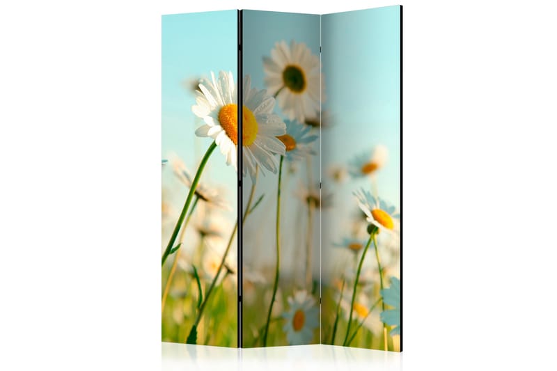 Romdeler - Daisies - spring meadow 135x172 - Artgeist sp. z o. o. - Innredning - Romdelere - Bretteskjerm