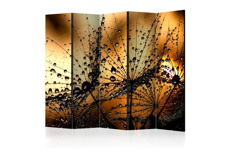 Romdeler Dandelions In The Rain 225x172 - Artgeist sp. z o. o. - Innredning - Romdelere - Bretteskjerm