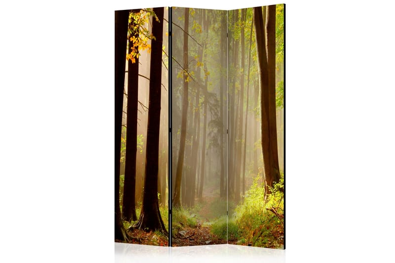 Romdeler - Mysterious Forest path 135x172 - Artgeist sp. z o. o. - Innredning - Romdelere - Bretteskjerm