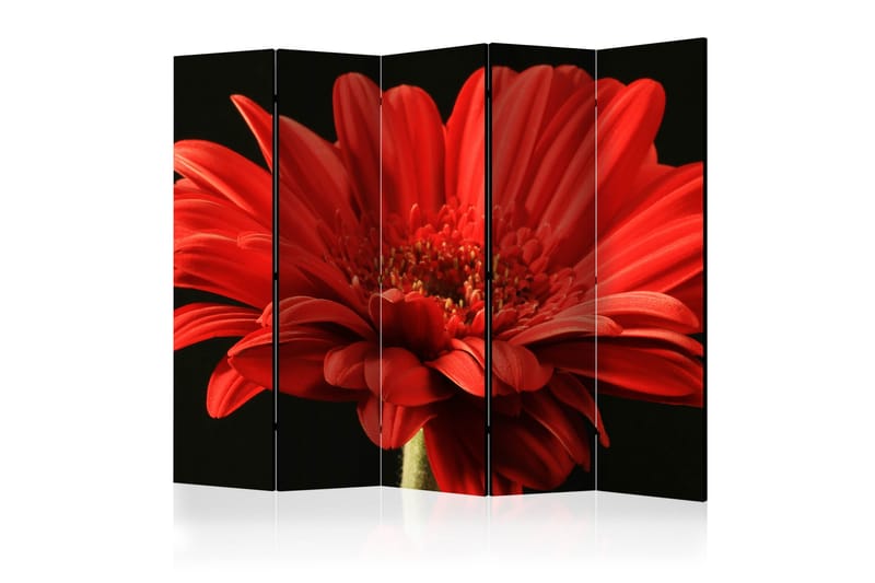 Romdeler - Red gerbera flower II 225x172 - Artgeist sp. z o. o. - Innredning - Romdelere - Bretteskjerm