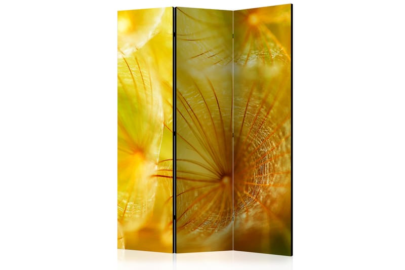 Romdeler - Soft dandelion flower 135x172 - Artgeist sp. z o. o. - Innredning - Romdelere - Bretteskjerm