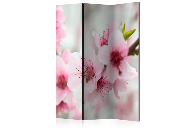 Romdeler - Spring, blooming tree - pink flowers 135x172 - Artgeist sp. z o. o. - Innredning - Romdelere - Bretteskjerm