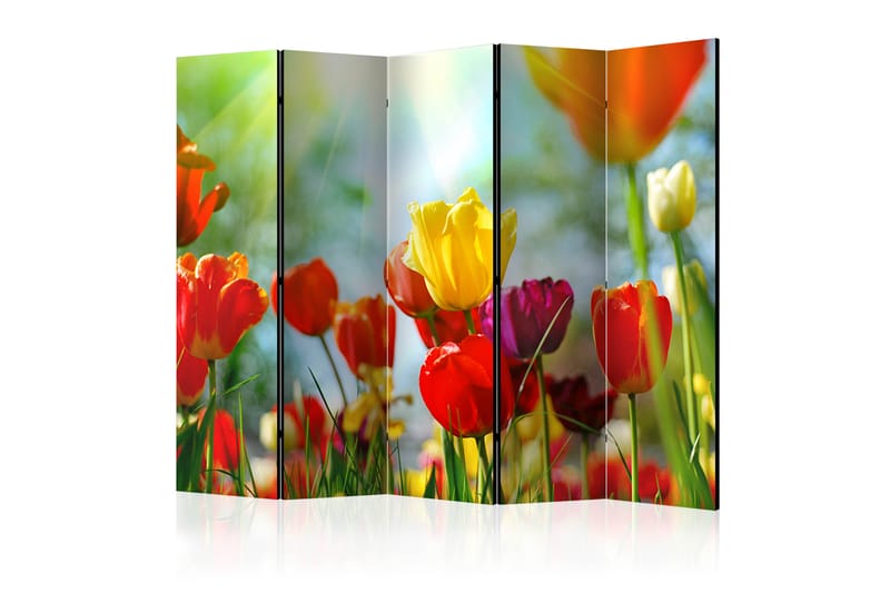 Romdeler Spring Tulips II 222x517 cm - Artgeist sp. z o. o. - Innredning - Romdelere - Bretteskjerm