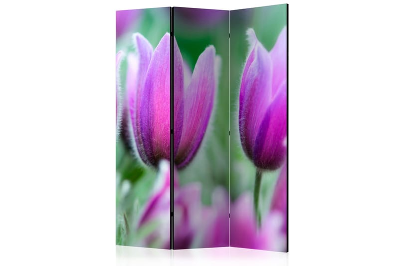 Romdeler Purple Spring Tulips - Artgeist sp. z o. o. - Innredning - Romdelere - Bretteskjerm