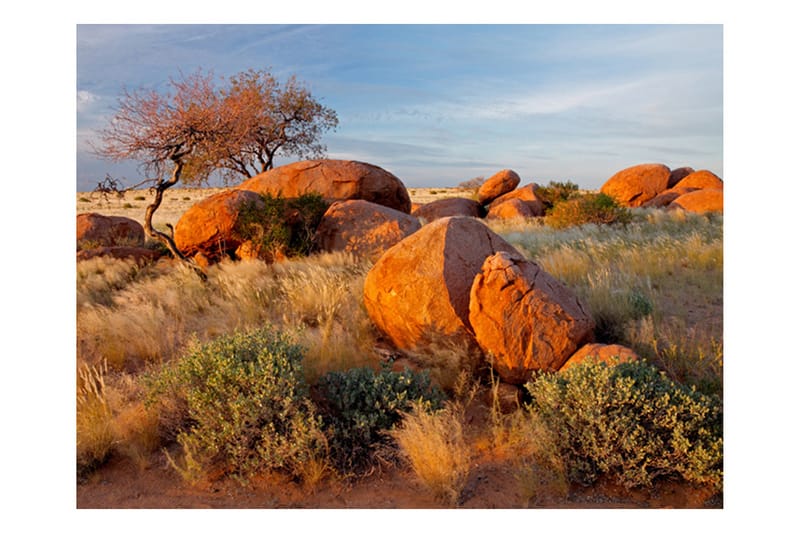 Fototapet African Landscape Namibia 200x154 - Artgeist sp. z o. o. - Innredning - Veggdekorasjon - Tapeter - Fototapeter