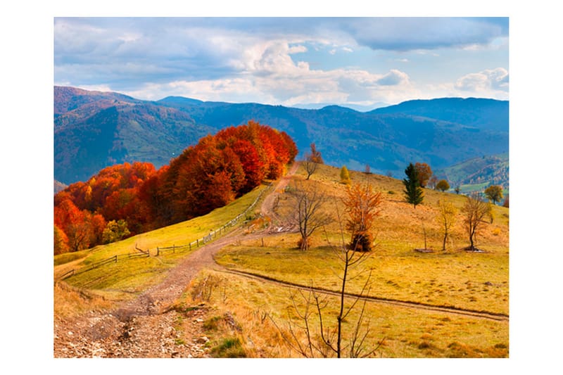 Fototapet Autumn Landscape In Carpathians 250x193 - Artgeist sp. z o. o. - Innredning - Veggdekorasjon - Tapeter - Fototapeter