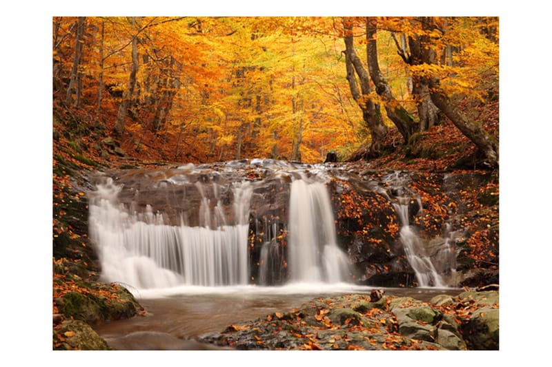 Fototapet Autumn Landscape Waterfall In Forest 300x231 - Artgeist sp. z o. o. - Innredning - Veggdekorasjon - Tapeter - Fototapeter