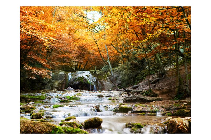 Fototapet Autumn Waterfall 200x154 - Artgeist sp. z o. o. - Innredning - Veggdekorasjon - Tapeter - Fototapeter