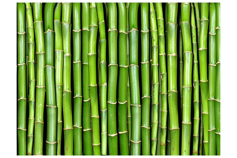 Fototapet Bamboo Wall 250x193 - Artgeist sp. z o. o. - Innredning - Veggdekorasjon - Tapeter - Fototapeter