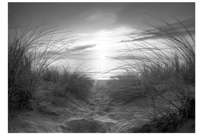 Fototapet Beach Black And White 100x70 - Artgeist sp. z o. o. - Innredning - Veggdekorasjon - Tapeter - Fototapeter