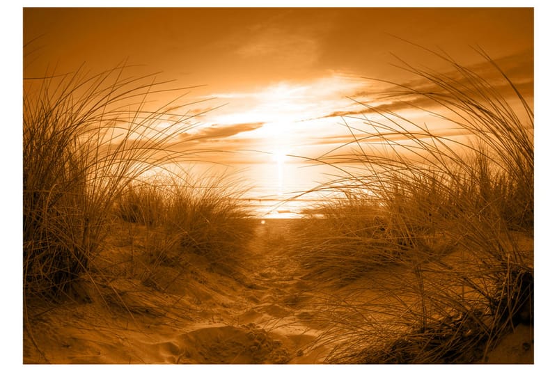 Fototapet Beach Sepia 100x70 - Artgeist sp. z o. o. - Innredning - Veggdekorasjon - Tapeter - Fototapeter