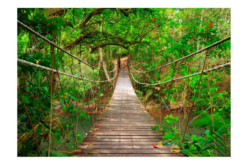 Fototapet Bridge Amid Greenery 150x105 - Artgeist sp. z o. o. - Innredning - Veggdekorasjon - Tapeter - Fototapeter