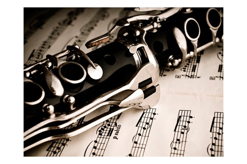 Fototapet Clarinet And Music Notes 250x193 - Artgeist sp. z o. o. - Innredning - Veggdekorasjon - Tapeter - Fototapeter