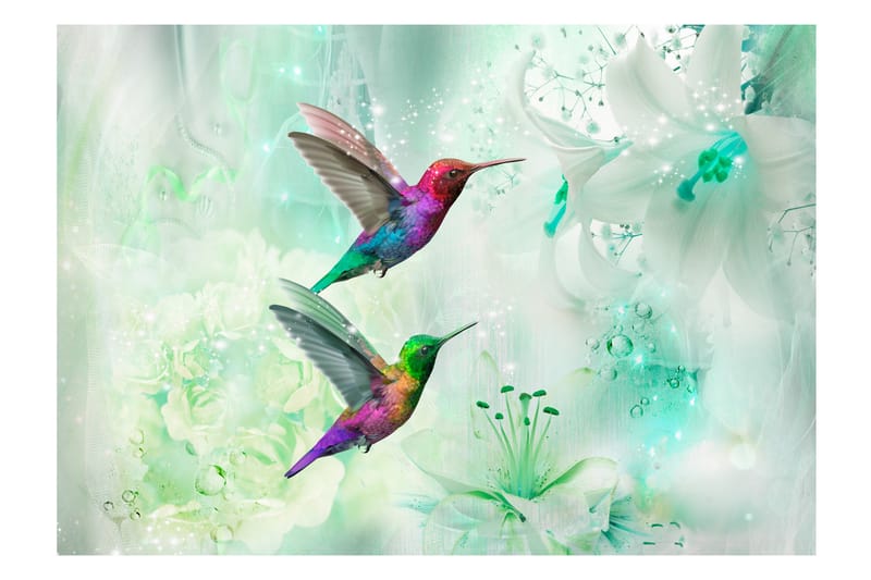 Fototapet Colourful Hummingbirds Green 150x105 - Innredning - Veggdekorasjon - Tapeter - Fototapeter