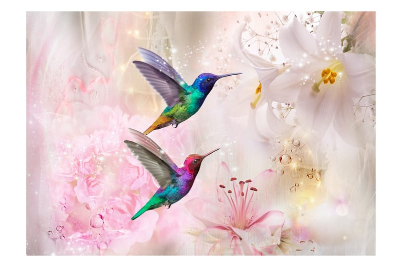 Fototapet Colourful Hummingbirds Pink  250x175 - Innredning - Veggdekorasjon - Tapeter - Fototapeter