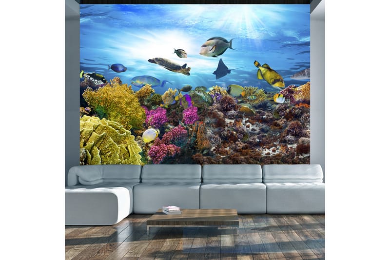 Fototapet Coral Reef 100x70 - Artgeist sp. z o. o. - Innredning - Veggdekorasjon - Tapeter - Fototapeter