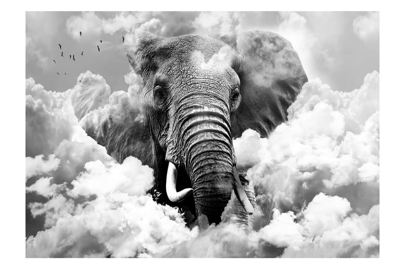 Fototapet Elephant In The Clouds Black And White 300x210 - Artgeist sp. z o. o. - Innredning - Veggdekorasjon - Tapeter - Fototapeter