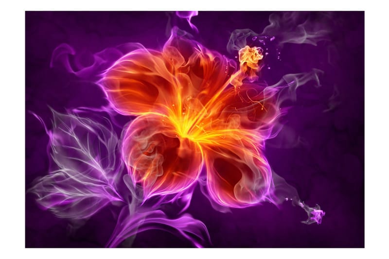 Fototapet Fiery Flower In Purple 250x175 - Artgeist sp. z o. o. - Innredning - Veggdekorasjon - Tapeter - Fototapeter