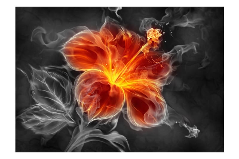 Fototapet Fiery Flower Inside The Smoke 100x70 - Artgeist sp. z o. o. - Innredning - Veggdekorasjon - Tapeter - Fototapeter