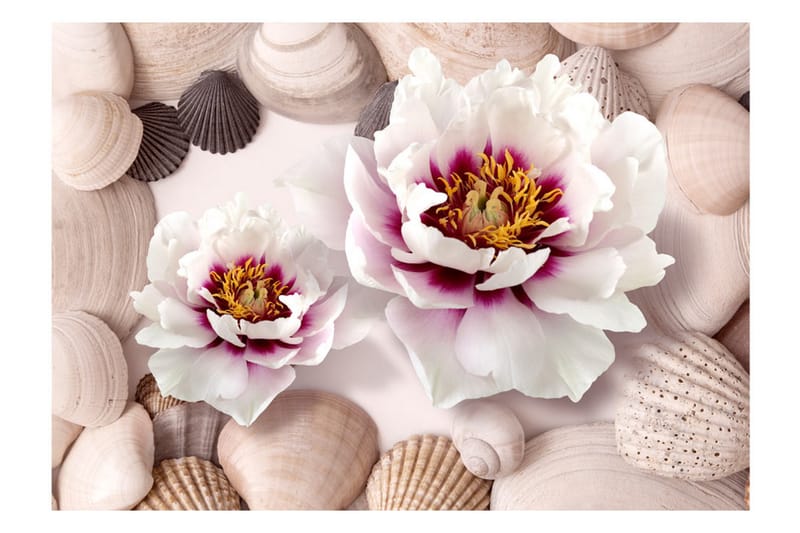 Fototapet Flowers And Shells 150x105 - Artgeist sp. z o. o. - Innredning - Veggdekorasjon - Tapeter - Fototapeter