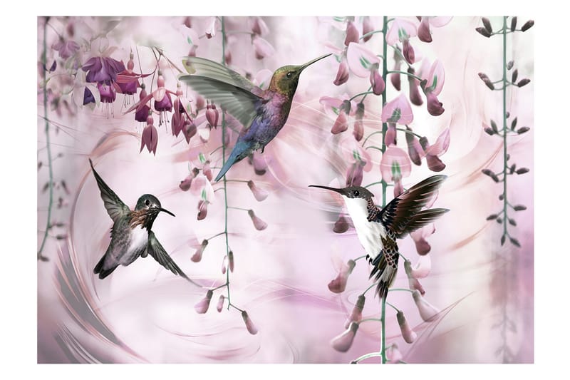 Fototapet Flying Hummingbirds Pink 100x70 - Fototapeter