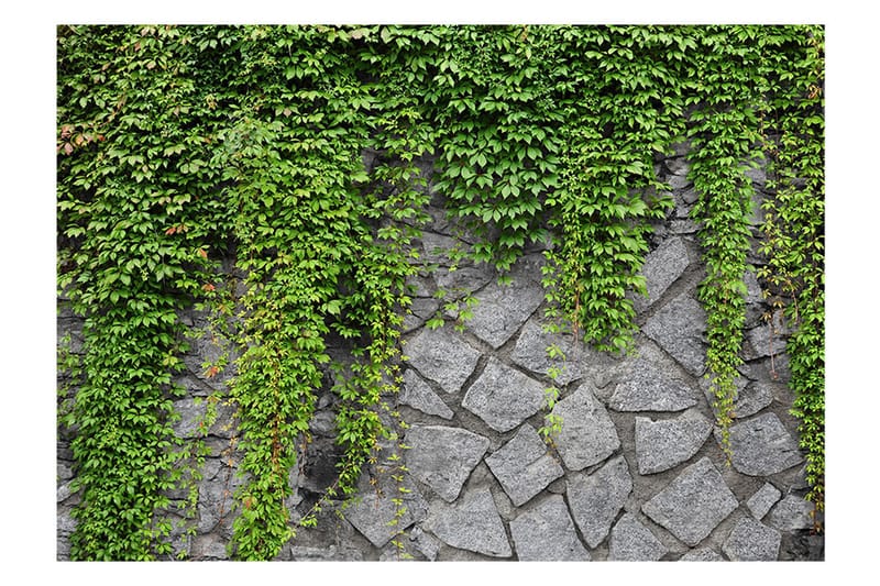 Fototapet Green Wall 100x70 - Artgeist sp. z o. o. - Innredning - Veggdekorasjon - Tapeter - Fototapeter