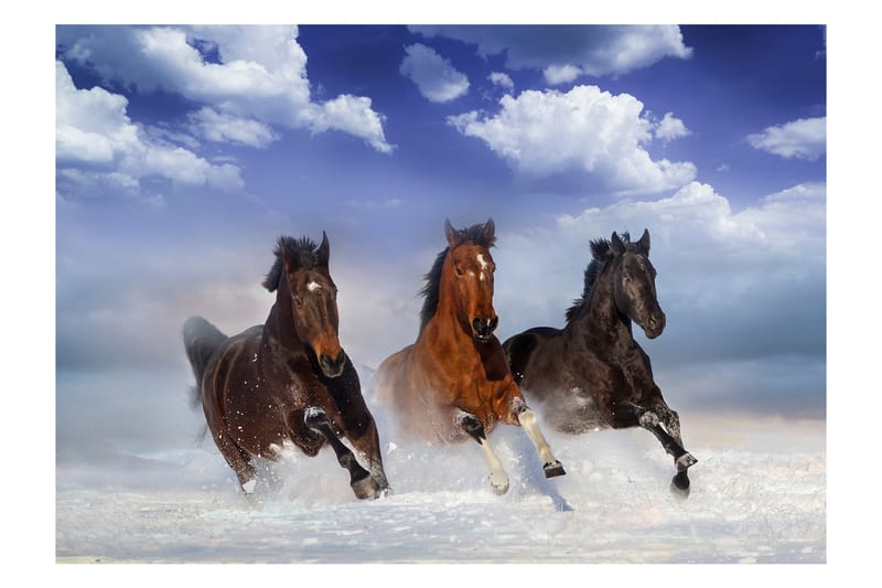 Fototapet Horses In The Snow 250x175 - Artgeist sp. z o. o. - Innredning - Veggdekorasjon - Tapeter - Fototapeter