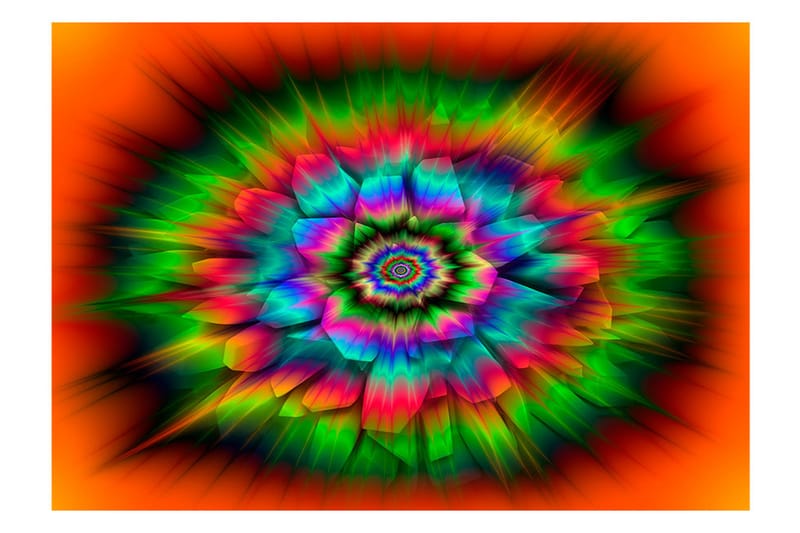 Fototapet Kaleidoscope Of Color 100x70 - Artgeist sp. z o. o. - Innredning - Veggdekorasjon - Tapeter - Fototapeter