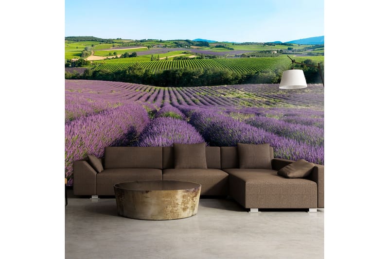 Fototapet Lavender field 200x154 - Artgeist sp. z o. o. - Innredning - Veggdekorasjon - Tapeter - Fototapeter