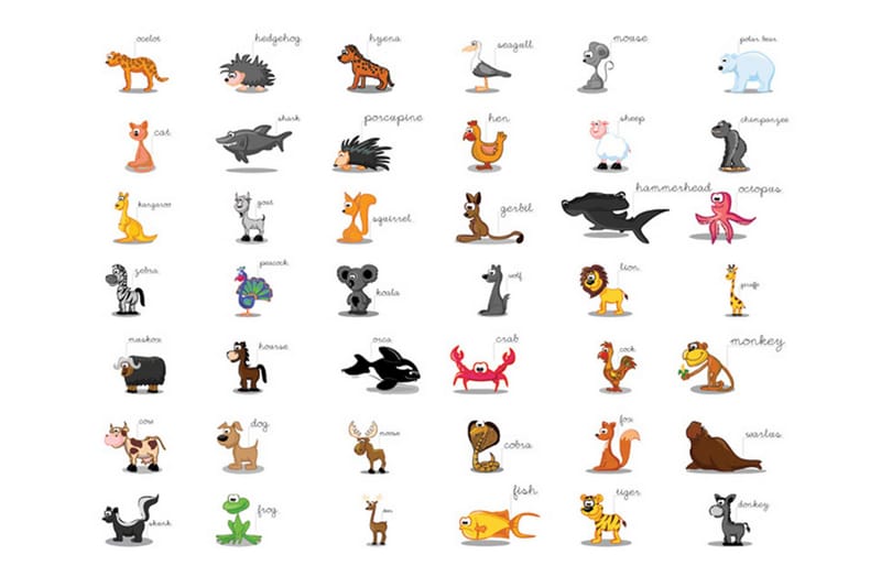 Fototapet Learning By playing Animals 250x193 - Artgeist sp. z o. o. - Innredning - Veggdekorasjon - Tapeter - Fototapeter