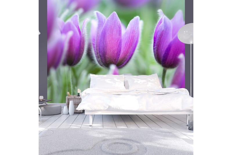 Fototapet Lilla Vår Tulipaner 350x270 - Artgeist sp. z o. o. - Innredning - Veggdekorasjon - Tapeter - Fototapeter