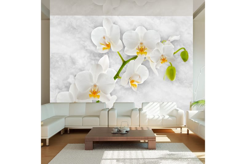 Fototapet Lyrical Orchid White 350x245 - Artgeist sp. z o. o. - Innredning - Veggdekorasjon - Tapeter - Fototapeter