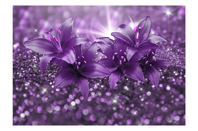 Fototapet Masterpiece Of Purple 100x70 - Artgeist sp. z o. o. - Innredning - Veggdekorasjon - Tapeter - Fototapeter