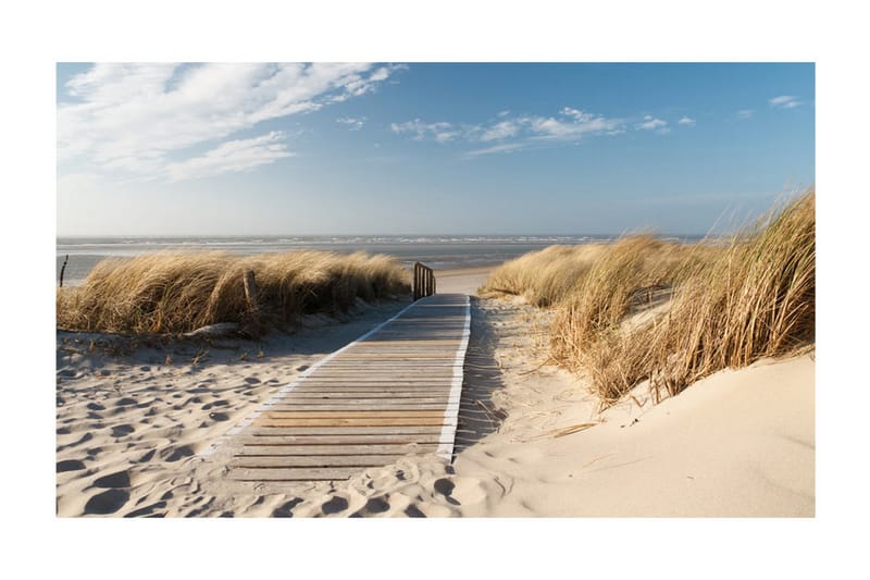 Fototapet Nordsjøens Strand Langeoog 450x270 - Artgeist sp. z o. o. - Innredning - Veggdekorasjon - Tapeter - Fototapeter