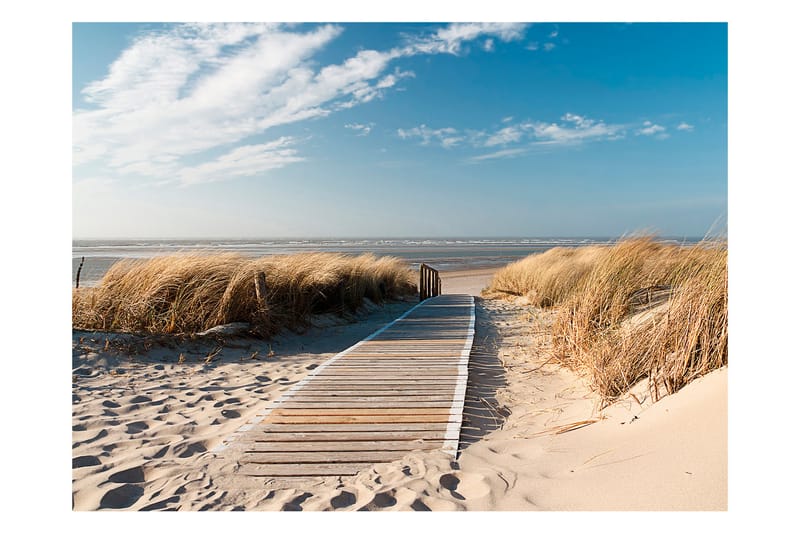 Fototapet North Sea Strand Langeoog 250x193 - Artgeist sp. z o. o. - Innredning - Veggdekorasjon - Tapeter - Fototapeter