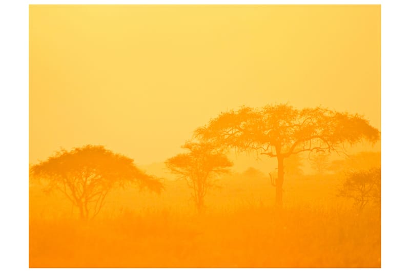 Fototapet Orange Savanna 250x193 - Artgeist sp. z o. o. - Innredning - Veggdekorasjon - Tapeter - Fototapeter