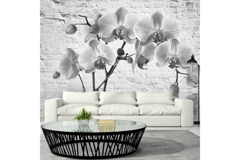 Fototapet Orchid In Shades Of Gray 300x210 - Artgeist sp. z o. o. - Innredning - Veggdekorasjon - Tapeter - Fototapeter