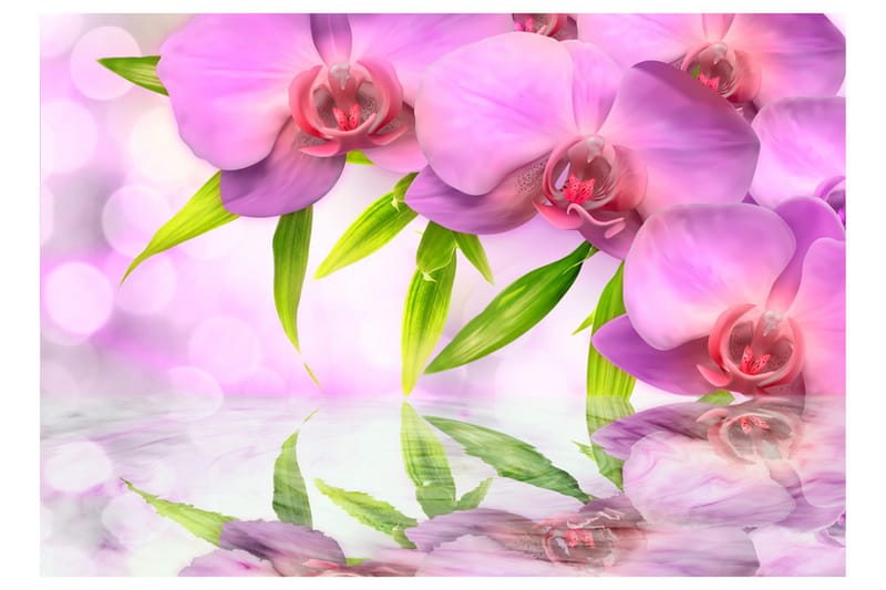 Fototapet Orchids In Lilac Colour 350x245 - Artgeist sp. z o. o. - Innredning - Veggdekorasjon - Tapeter - Fototapeter