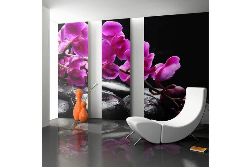 Fototapet Relaxing While Orchid And Stones 250x193 - Artgeist sp. z o. o. - Innredning - Veggdekorasjon - Tapeter - Fototapeter