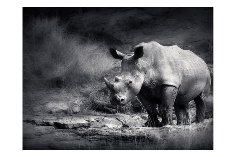 Fototapet Rhino Lost In Dreams 250x193 - Artgeist sp. z o. o. - Innredning - Veggdekorasjon - Tapeter - Fototapeter