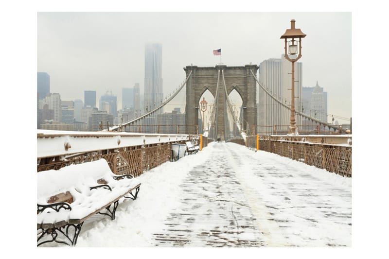 Fototapet Snowy Bridge New York 250x193 - Artgeist sp. z o. o. - Innredning - Veggdekorasjon - Tapeter - Fototapeter