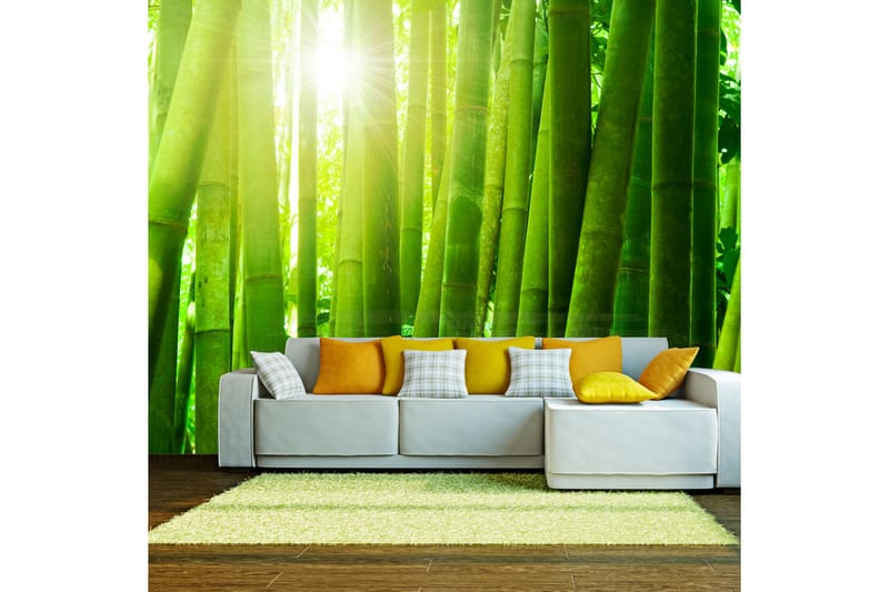 Fototapet Sun And Bamboo 250x193 - Artgeist sp. z o. o. - Innredning - Veggdekorasjon - Tapeter - Fototapeter