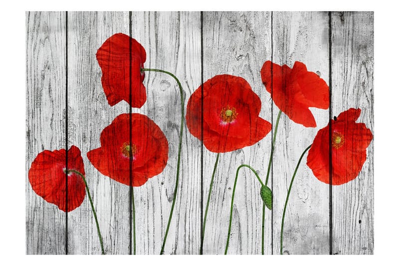 Fototapet Tale Of Red Poppies 300x210 - Artgeist sp. z o. o. - Innredning - Veggdekorasjon - Tapeter - Fototapeter