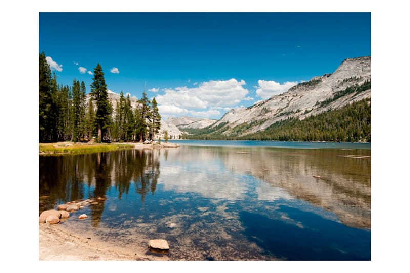 Fototapet Tenaya Lake Yosemite National Park 200x154 - Artgeist sp. z o. o. - Innredning - Veggdekorasjon - Tapeter - Fototapeter