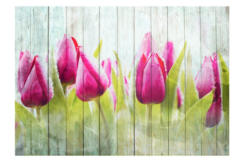 Fototapet Tulips On White Wood 350x245 - Artgeist sp. z o. o. - Innredning - Veggdekorasjon - Tapeter - Fototapeter