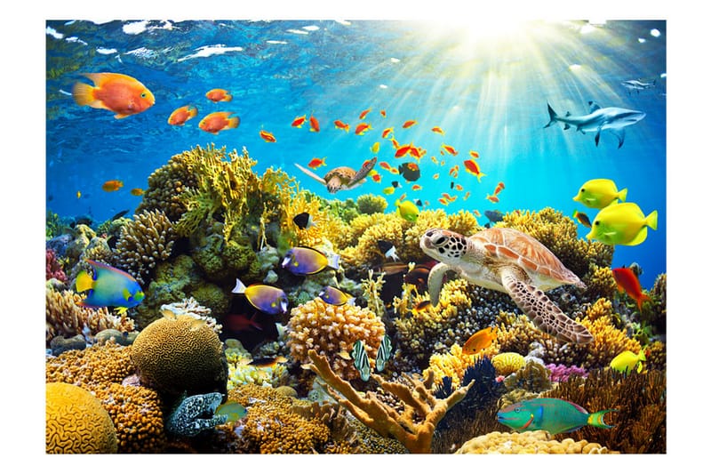 Fototapet Underwater Land 300x210 - Artgeist sp. z o. o. - Innredning - Veggdekorasjon - Tapeter - Fototapeter